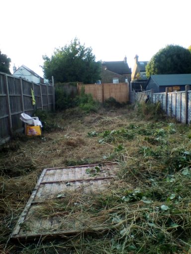 Garden Clearance